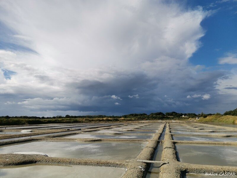 2- La météo web