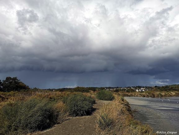 2- Météo web