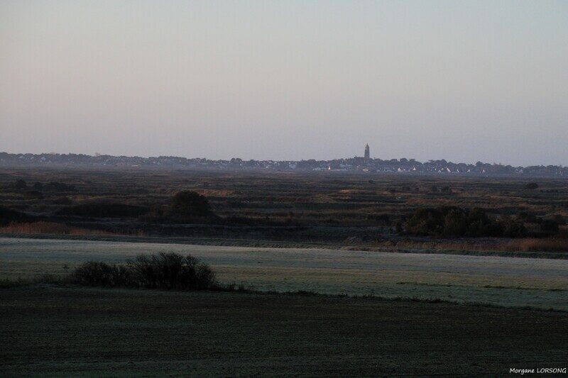 4- Mosaïque de paysages