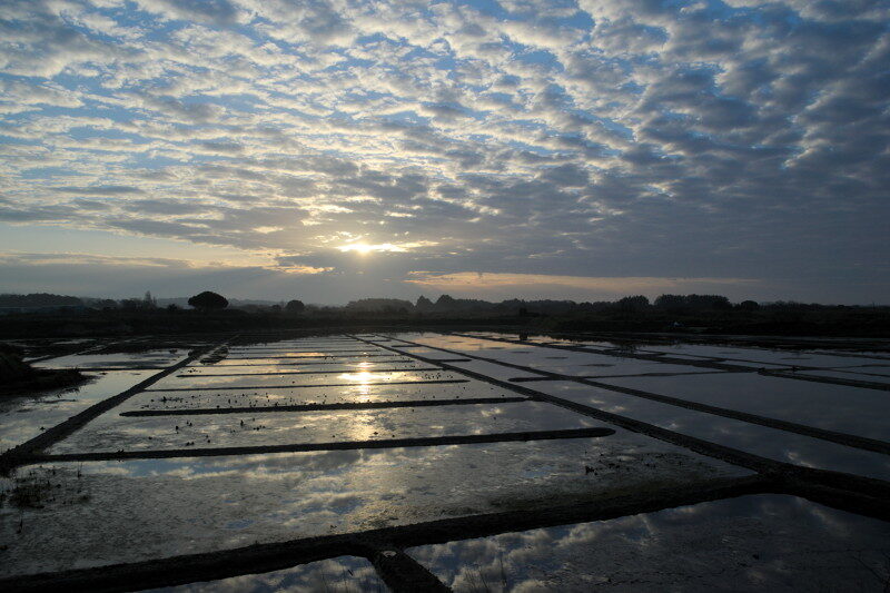 3-Les-marais-salants-en-hiver web