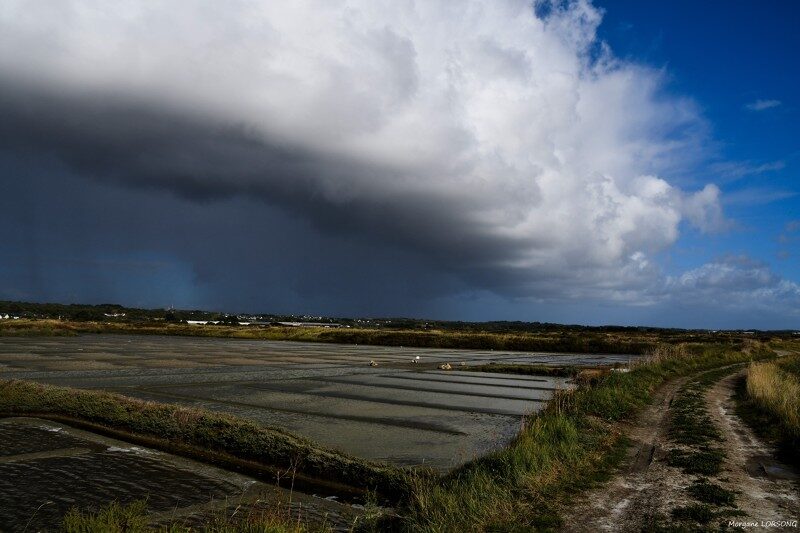 4- La météo automnale du paludier