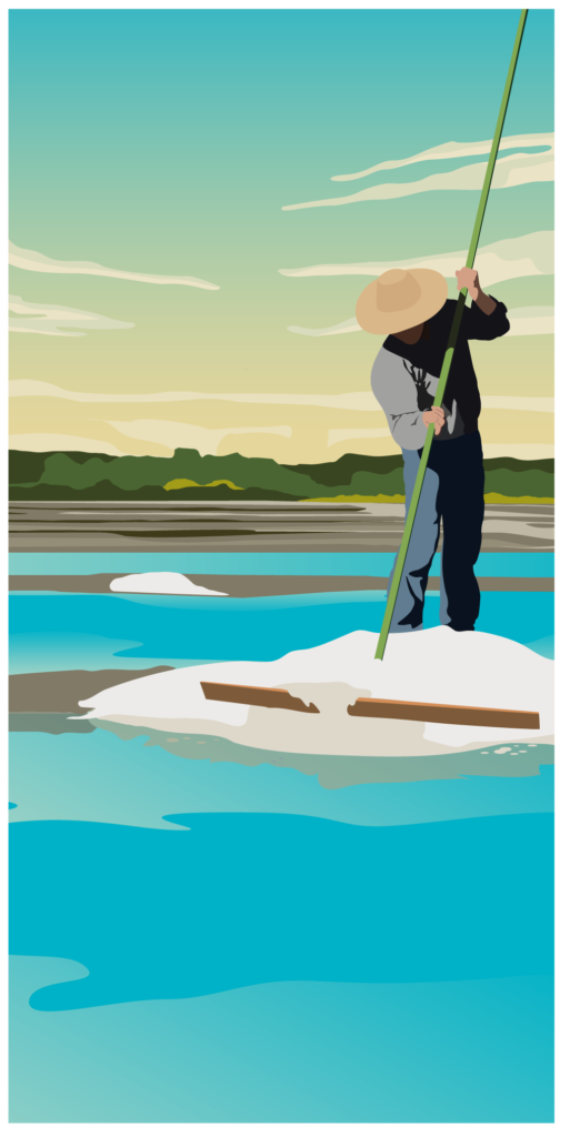ILLUSTRATIONS_TDS_BROCHURE-10