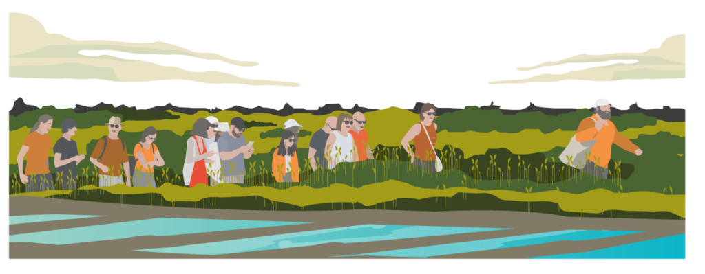 ILLUSTRATIONS_TDS_BROCHURE-05