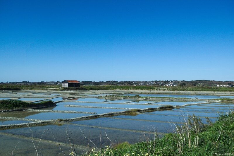 2021-03-29--Salorge--Marais-salants-de-Guerande.jpg-800px