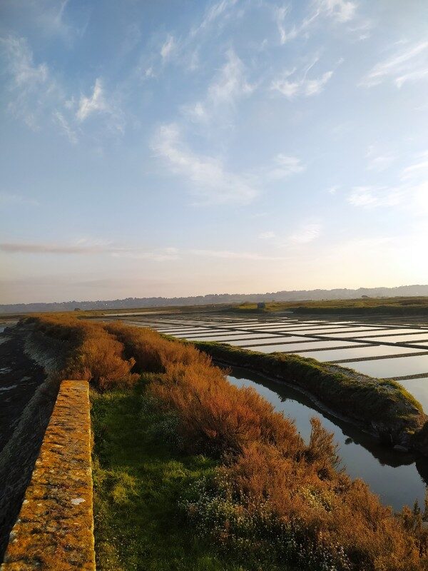 3- Café matinal au coeur des marais web