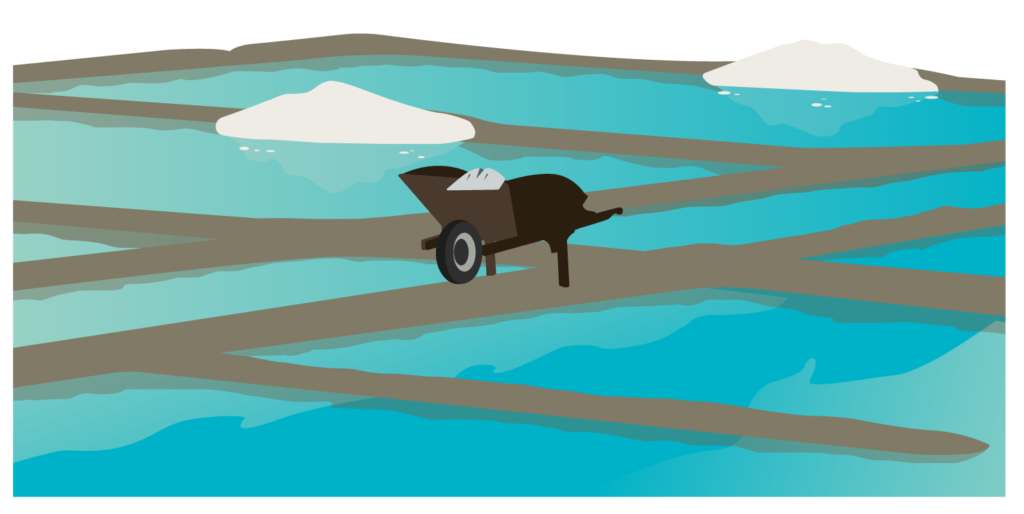 ILLUSTRATIONS_TDS_BROCHURE-02