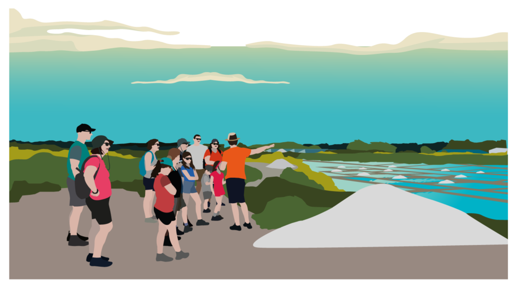 ILLUSTRATIONS_TDS_BROCHURE-03