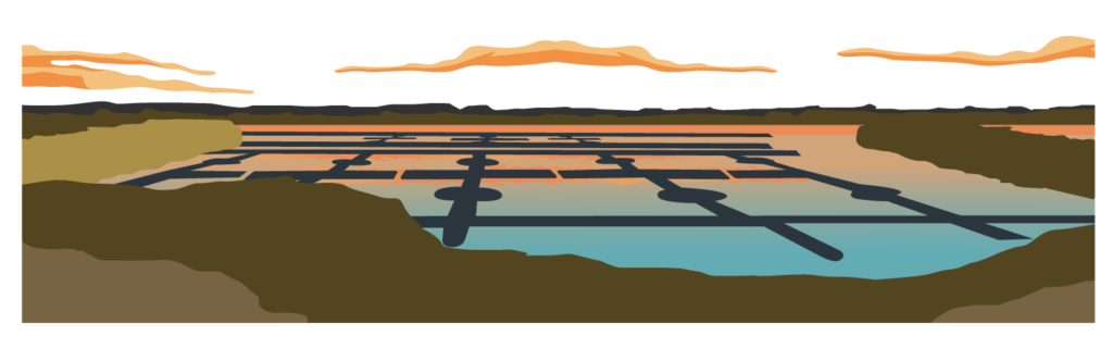 ILLUSTRATIONS_TDS_BROCHURE-04