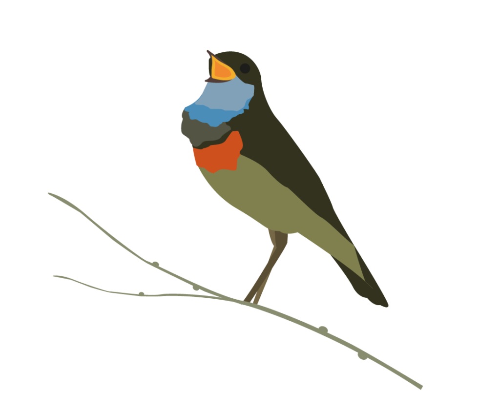 ILLUSTRATIONS_TDS_BROCHURE-08