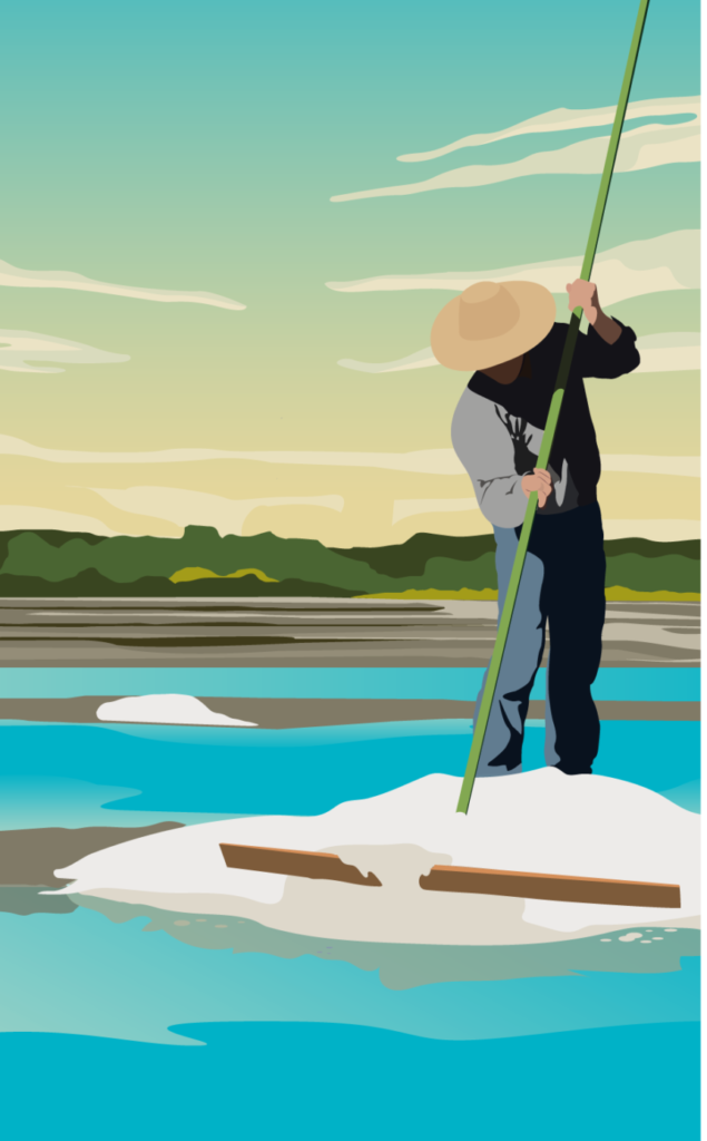 ILLUSTRATIONS_TDS_BROCHURE-10