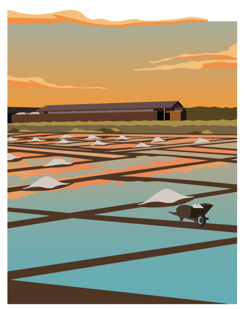 ILLUSTRATIONS_TDS_BROCHURE_Plan de travail 1